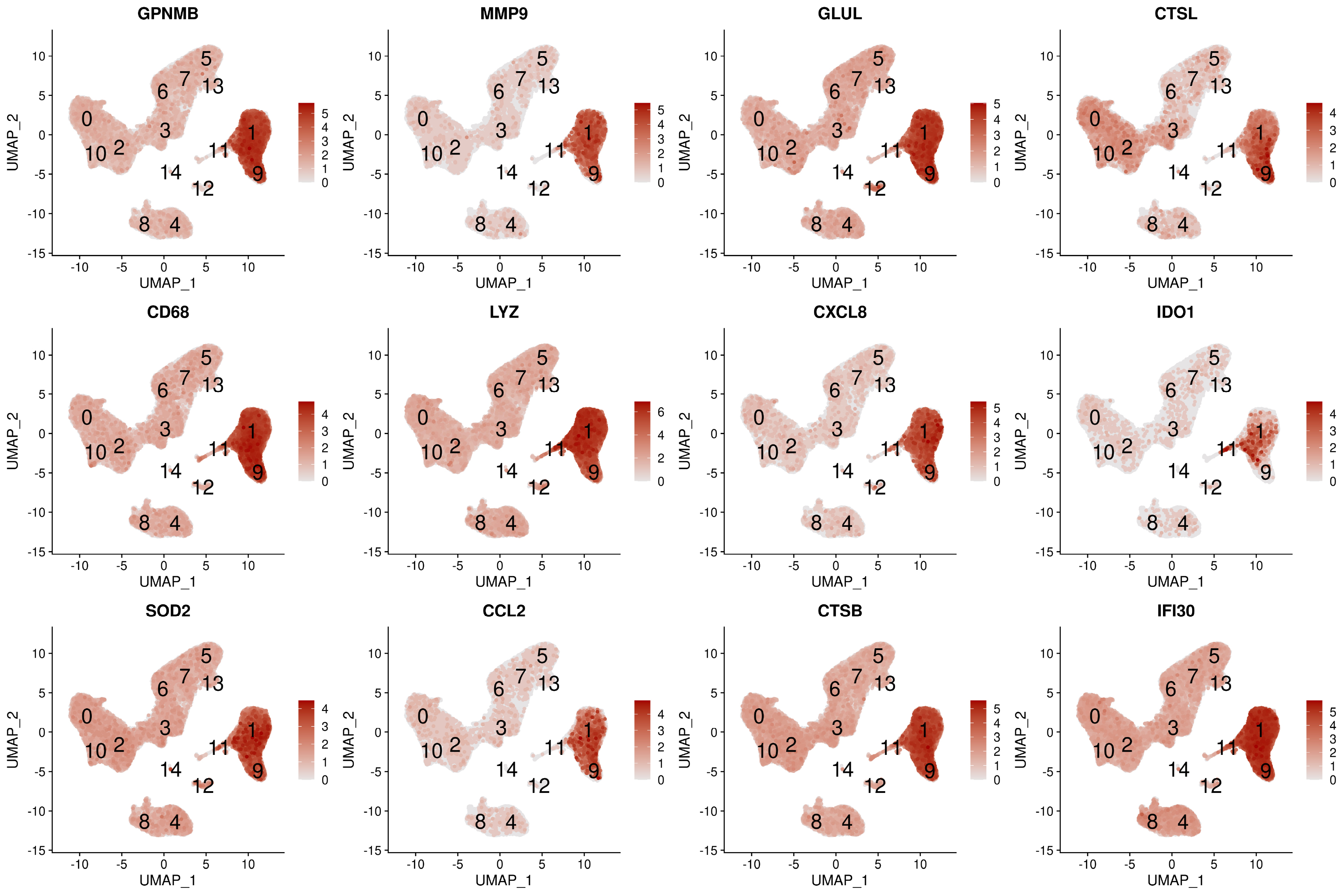 feature plot for clusters