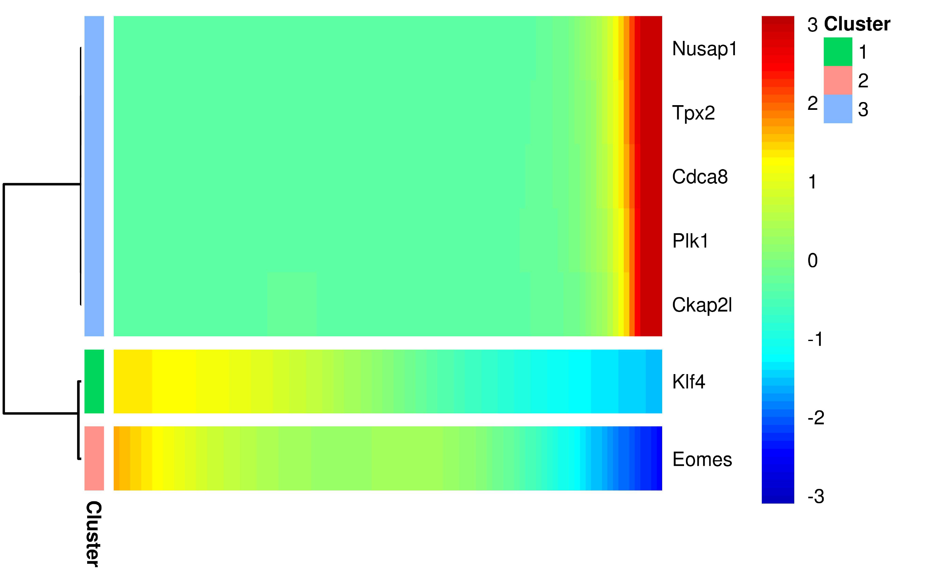 violin plot clusters