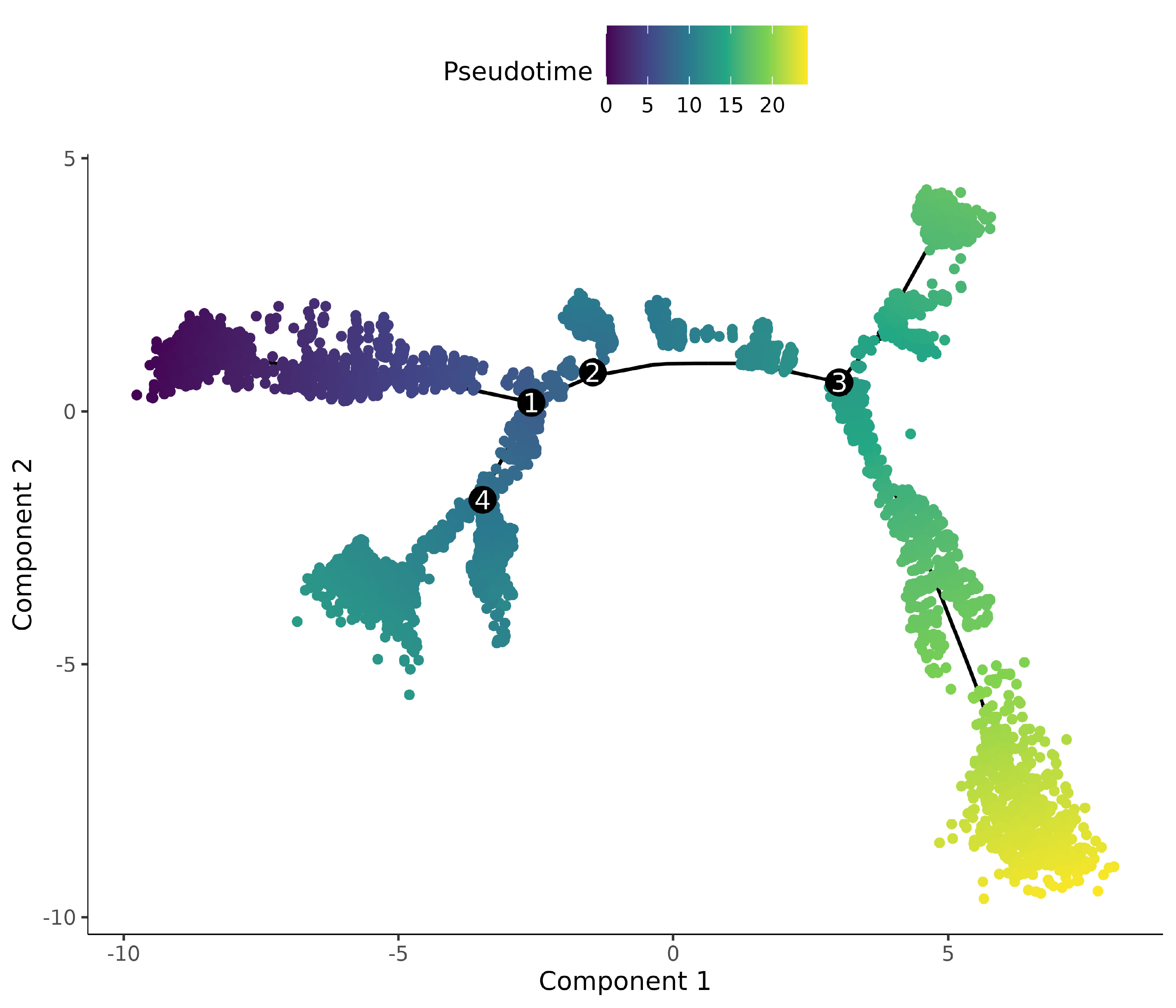 trajectory analysis (pseudotime)