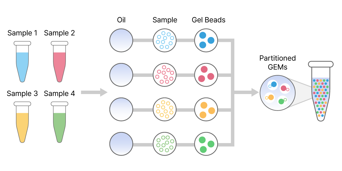 10x Genomics OCM 모식도